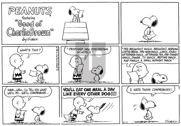 Peanuts on Sunday August 10, 1969 Comic Strip