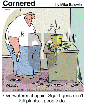 Cornered on Saturday December 15, 2018 Comic Strip