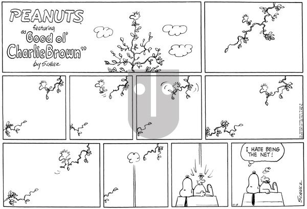 Peanuts on Sunday November 8, 1970 Comic Strip