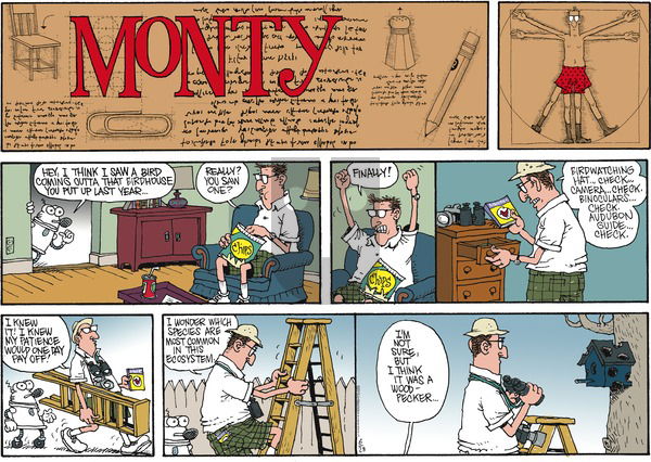 Monty on Sunday June 28, 2015 Comic Strip