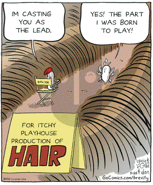 Brevity on Saturday May 26, 2012 Comic Strip