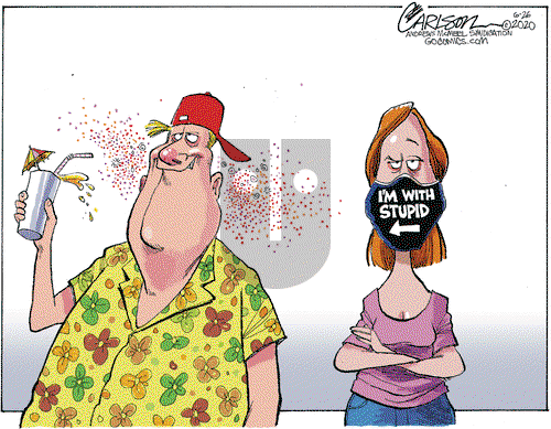 Stuart Carlson on Friday June 26, 2020 Comic Strip