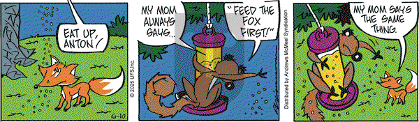 Rose is Rose on Tuesday June 10, 2025 Comic Strip