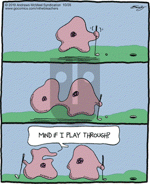 In the Bleachers on Monday October 28, 2019 Comic Strip