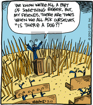 Reality Check on Saturday July 17, 2010 Comic Strip