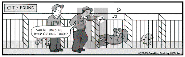 F Minus on Saturday September 17, 2005 Comic Strip