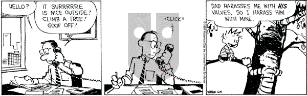 Calvin and Hobbes - Wednesday June 14, 1995 Comic Strip