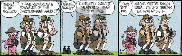 Monty - Tuesday June 18, 2024 Comic Strip