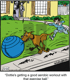 Marmaduke on Friday October 31, 2008 Comic Strip