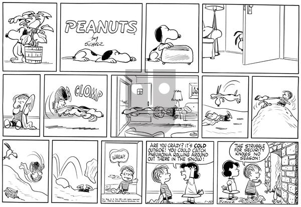 Peanuts on Sunday January 10, 1960 Comic Strip