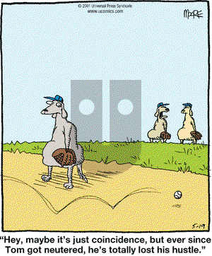 In the Bleachers on Saturday May 19, 2001 Comic Strip