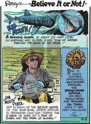 Ripley's Believe It or Not on Wednesday October 8, 2008 Comic Strip