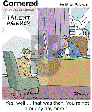 Cornered on Tuesday September 15, 2020 Comic Strip