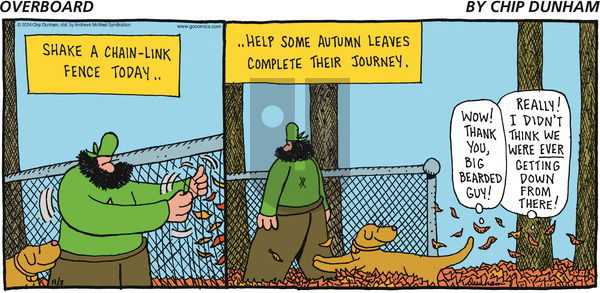 Overboard - Sunday November 3, 2024 Comic Strip