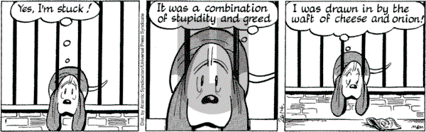 Fred Basset on Friday April 8, 2005 Comic Strip