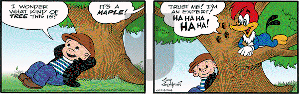 Nancy on Saturday October 8, 2016 Comic Strip