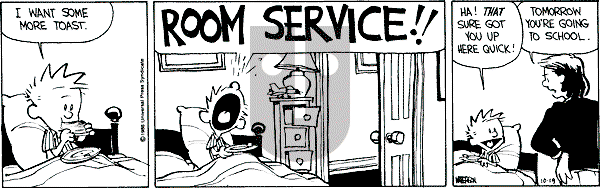 Calvin and Hobbes - Wednesday October 19, 1988 Comic Strip