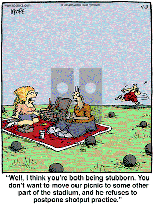 In the Bleachers on Thursday April 8, 2004 Comic Strip