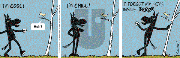 Dark Side of the Horse on Wednesday November 12, 2025 Comic Strip