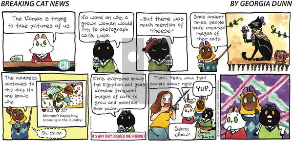 Breaking Cat News on Sunday March 11, 2018 Comic Strip