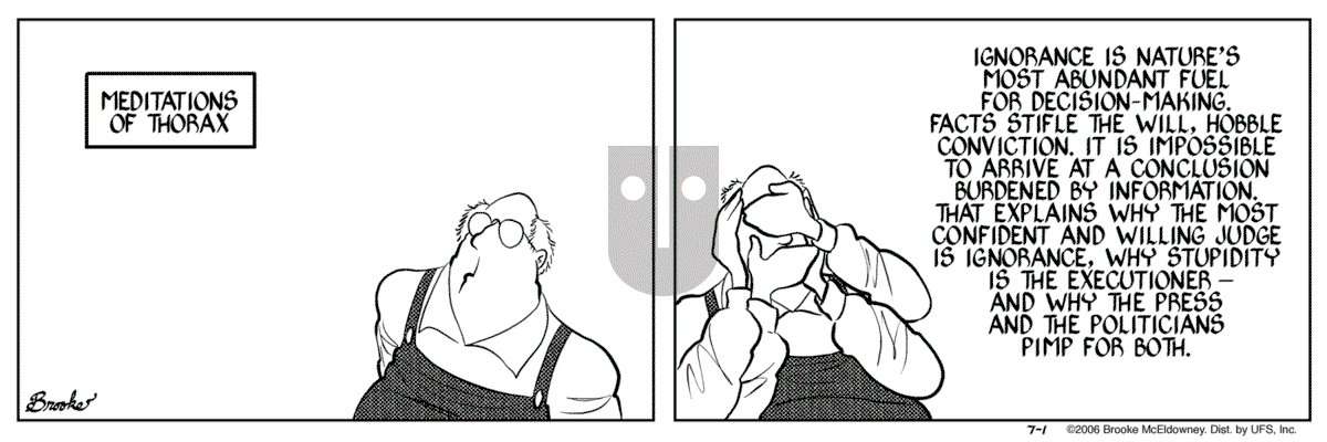 9 Chickweed Lane - Saturday July 1, 2006 Comic Strip