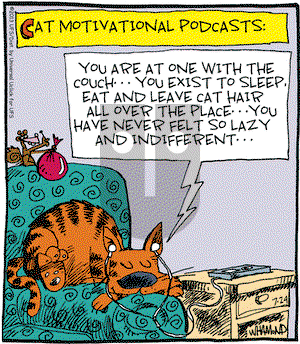 Reality Check on Wednesday July 24, 2013 Comic Strip