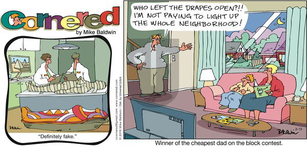 Cornered on Sunday March 13, 2016 Comic Strip