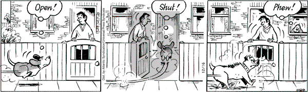 Fred Basset on Tuesday December 16, 2008 Comic Strip