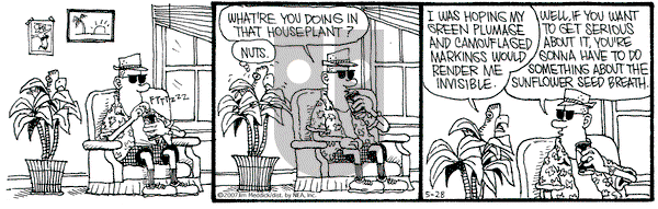 Monty on Monday May 28, 2007 Comic Strip