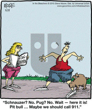 In the Bleachers on Wednesday March 18, 2015 Comic Strip