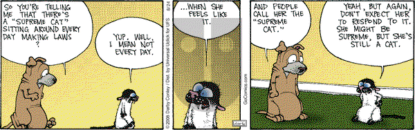 Get Fuzzy on Wednesday August 24, 2016 Comic Strip