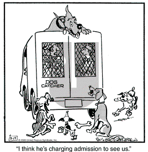 Marmaduke on Monday May 29, 2006 Comic Strip