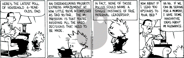 Calvin and Hobbes - Monday June 12, 1989 Comic Strip