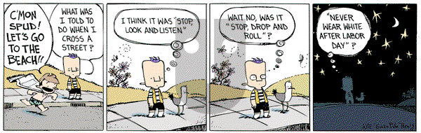 Wallace the Brave on Friday June 2, 2017 Comic Strip