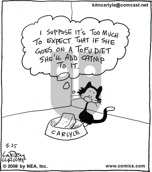 Kit 'N' Carlyle on Thursday March 27, 2008 Comic Strip