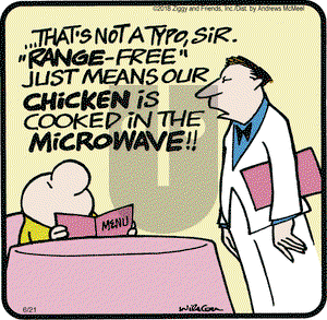 Ziggy on Thursday June 21, 2018 Comic Strip