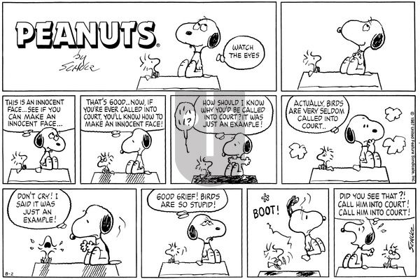 Peanuts on Sunday August 2, 1987 Comic Strip