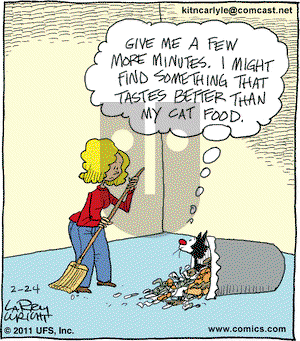 Kit 'N' Carlyle on Thursday February 24, 2011 Comic Strip