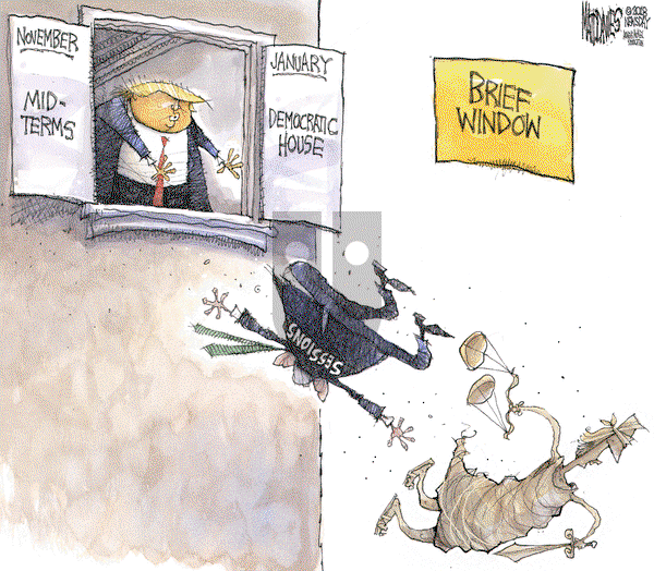 Matt Davies on Thursday November 8, 2018 Comic Strip