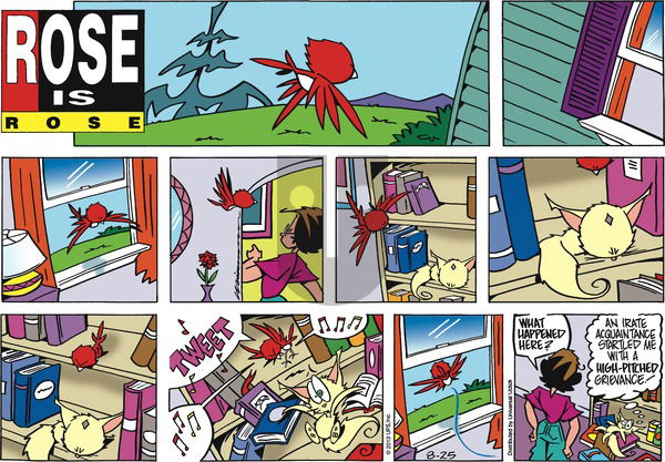Rose is Rose on Sunday August 25, 2013 Comic Strip