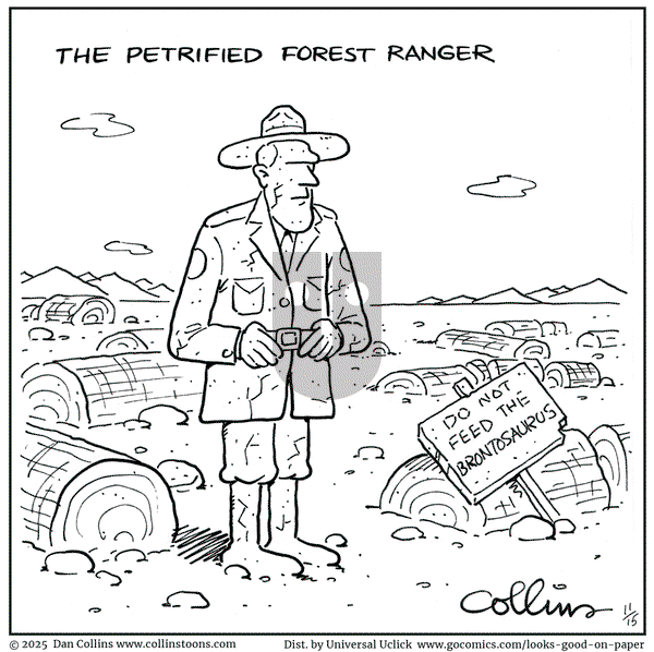 Looks Good on Paper on Saturday November 15, 2025 Comic Strip