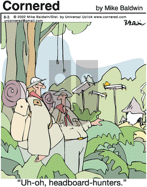 Cornered on Tuesday August 3, 2010 Comic Strip