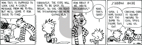 Calvin and Hobbes - Friday August 6, 1993 Comic Strip