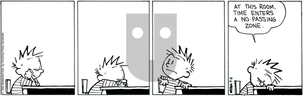 Calvin and Hobbes on Wednesday September 8, 1993 Comic Strip