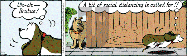 Fred Basset on Wednesday July 29, 2020 Comic Strip