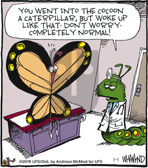 Reality Check on Tuesday January 1, 2019 Comic Strip