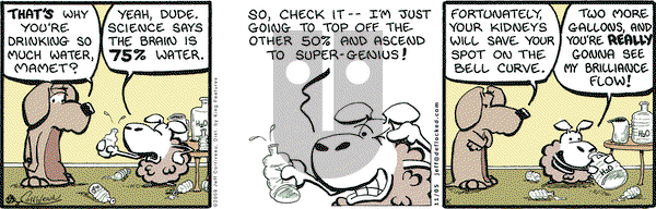 DeFlocked on Thursday November 5, 2009 Comic Strip