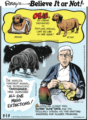 Ripley's Believe It or Not on Wednesday May 13, 2015 Comic Strip