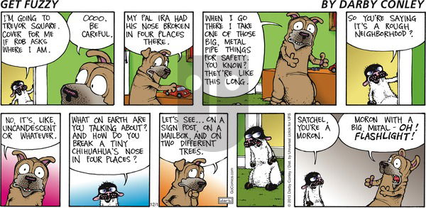 Get Fuzzy on Sunday December 1, 2013 Comic Strip