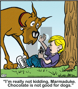Marmaduke on Tuesday May 12, 2020 Comic Strip